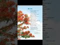 Understanding the Poem 'The Tree'