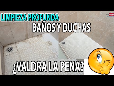 LIMPIEZA PROFUNDA DE BAÑOS ¿VALDRA LA PEÑA PAGAR ESE SERVICIO?