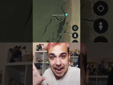 Cosas extrañas que podemos encontrar en Google maps #shorts