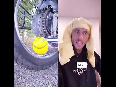 @KingZippy  Part 2