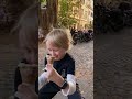 Understanding the Video Tutorial