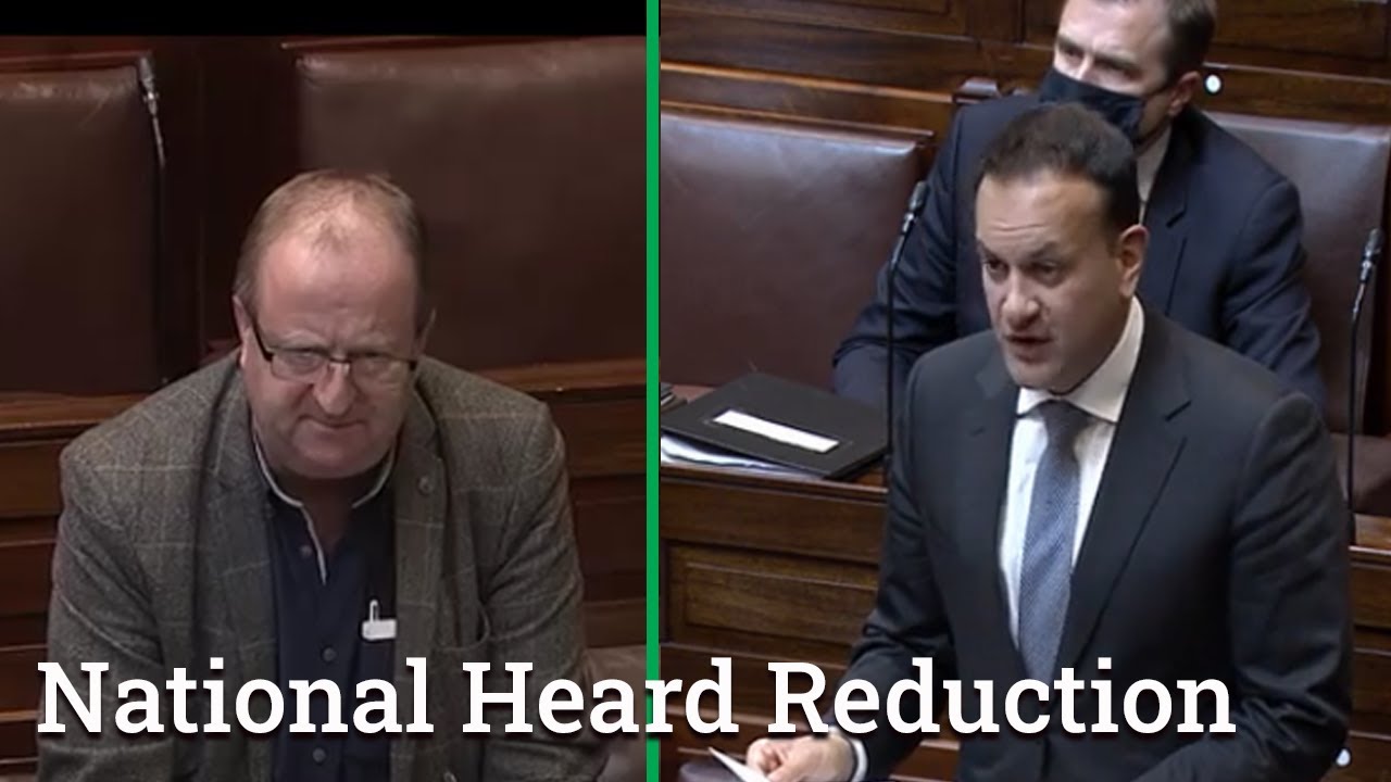 Cork TD Raises Farmers Concerns about Proposed Cuts to the Irish National Heard
