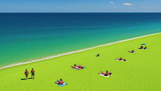15 Beaches That Are the WRONG COLOR