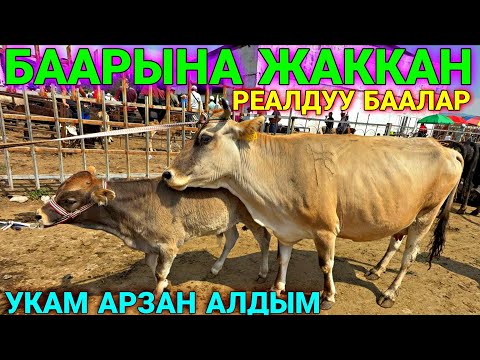 БАЗАРДА СААН УЙЛАР ШЫР ШЫР САТЫЛЫП ЖАТАТ ❤️‍🔥 #байтв