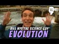 Amphibians, Fish Adaptation, and Environment