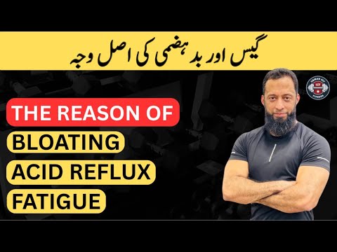 The Reason Of Bloating, Acid Reflux, Inflammation, Fatigue | Gut Health | Urdu/Hindi