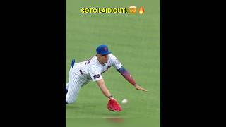 JUAN SOTO MAKES AN INSANE DIVING CATCH!🤯🔥 #mlb #baseball #parati