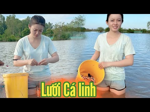 Cô Gái Quê ✅ Lưới Cá linh cuối Vụ Nước Rút dính quá trời Em Phi con