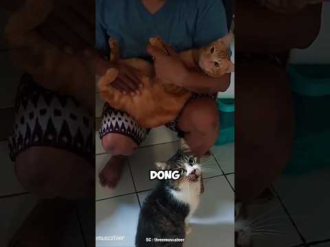 NGADU KE MAMI PENGEN DIGENDONG