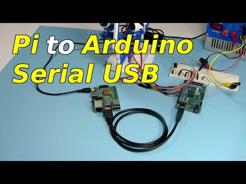 Raspberry Pi to Arduino Serial USB Communication