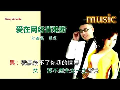 愛在網路情難斷-紅薔薇&落筆-KTV 伴奏 no vocal 無人聲 music 純音樂 karaoke 卡拉OK 伴唱 instrumental愛在網絡情難斷-紅薔薇&落筆-