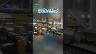 Revolutionize Your Palletizing with Low Level Gantry Palletizer