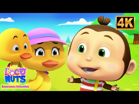🦆 Cinco Patitos Fueron a Nadar Canción Infantil y Rima Educativa para Niños
