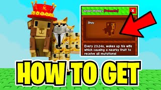 How To GET JANDEL MONKEY & SHOWCASE In GROW A GARDEN! (FULL GUIDE) ROBLOX