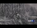 Hawaii's Plantation History and Culture