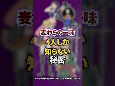 麦わらの一味4人しか知らない秘密