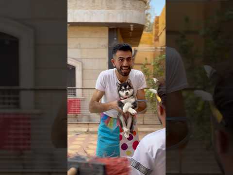 اغبى حارس شخصي مع كلب الملك🐶🤴الجزء الاول😂😂