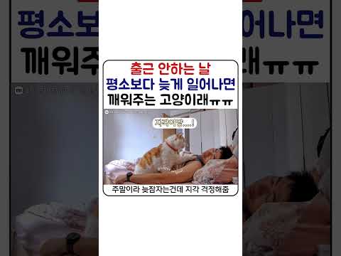 집사가 절대 지각할 수 없는 이유가 졸귀야