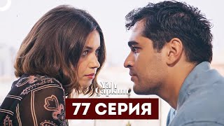 Зимородок - 77 серия краткое содержание