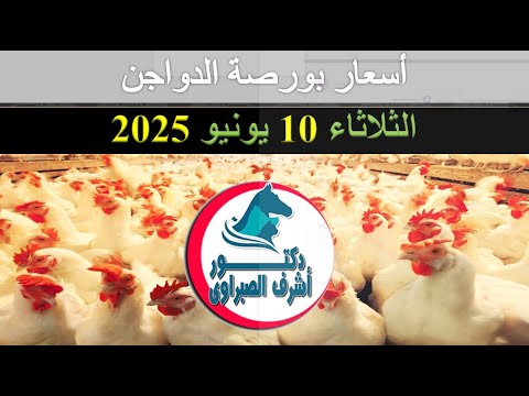 أسعار بورصة الدواجن والكتاكيت والبط والسمان | وأسعار بيض المائدة والعلف اليوم الثلاثاء 10 / 6 / 2025