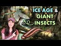 Carboniferous Ice Age and Its Effects