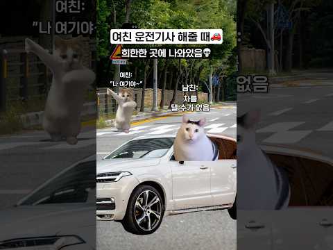 여친 운전기사 해줄 때ㅋㅋ
