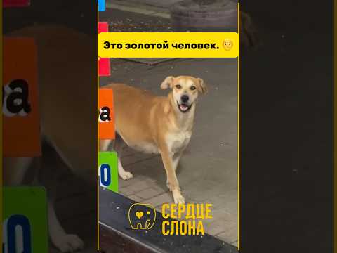 Как же она на него смотрит?