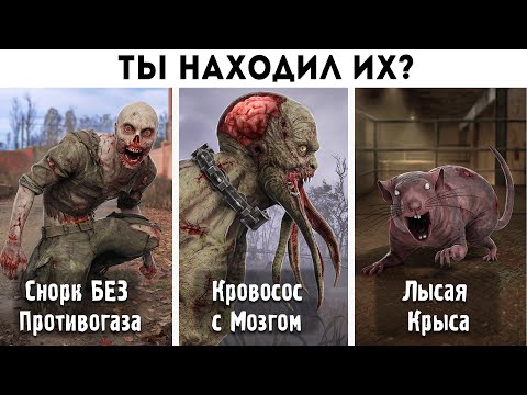 40 ФАКТОВ - МОНСТРЫ из STALKER 2