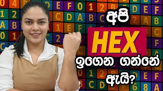 Computer Science: Why Are Hexadecimal and Octal Important 🔢