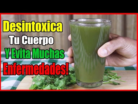 El Cilantro Puede Eliminar El 80 % De Los Metales Pesados Del Cuerpo En 42 Días