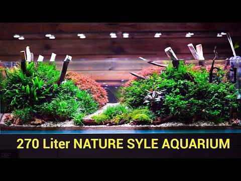 720 Liter Nature Style Aquarium