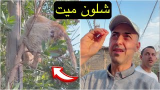 اجواء الصباح في محافظة ميسان