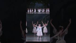 He Was Surrounded By Sylphs!