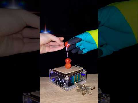 🍅 Music Tesla Coil #experiment #vegetables #tomato #physics
