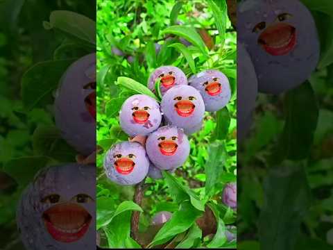 Alifun baa Taun Saa | Naat | Islamic video|| #islamicshorts #shorts#islamicsong #trending