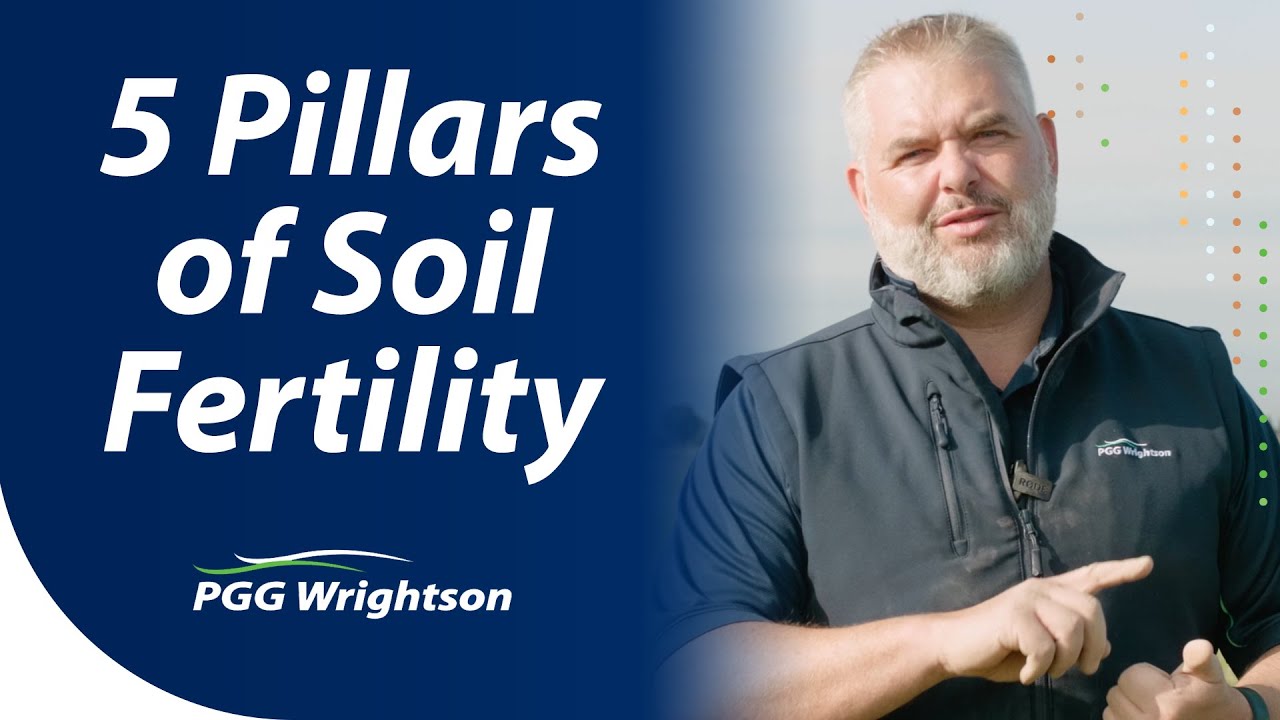 The five pillars of soil fertility 