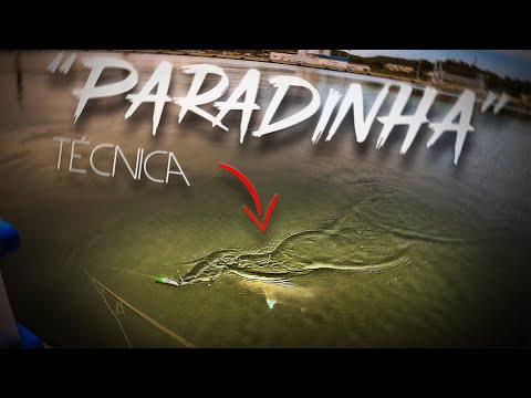 HAZ que ATAQUEN tu Señuelo - Técnica EXPLICADA