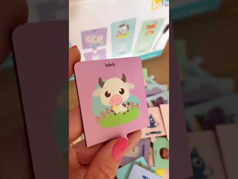 Brinquedo para Alfabetização - Alfabeto Ilustrado Escreve e Apaga