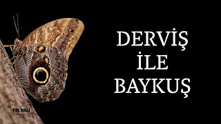 Derviş ile Baykuş - #yolhali 171. bölüm  - 7 Temmuz  2025