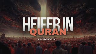 Understanding the Connection Between the Heifer in Quran and Judgment Day in English