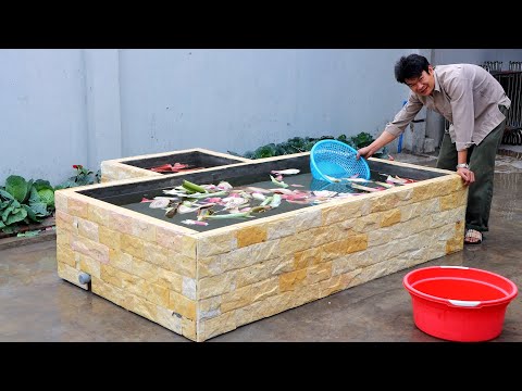 Make a goldfish tank from brick and cement