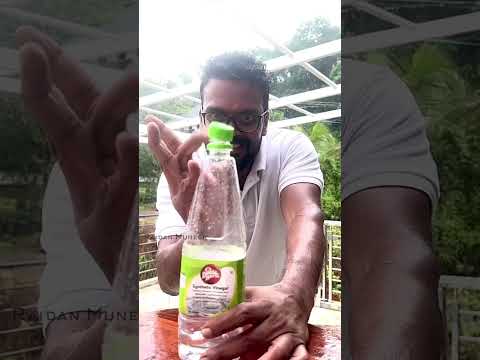 Fish tawa fry ആർക്കെങ്കിലും ഈ മീനിന്റെ പേര് അറിയുമെങ്കിൽ ഒന്ന് കമൻറ് ചെയ്യണം🤩🥰#fishlover#fishfry