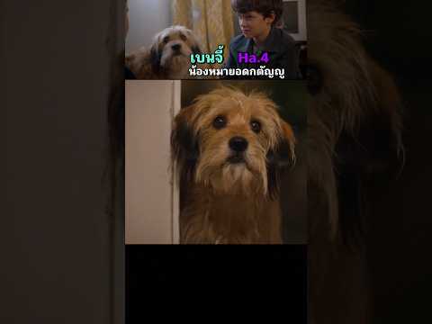 Ha.4 เบนจี้ น้องหมายอดกตัญญู(สปอยหนัง)