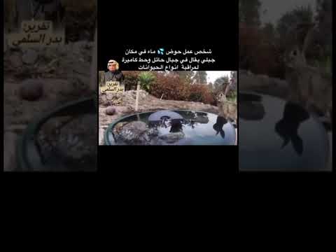 #حيونات #خطر