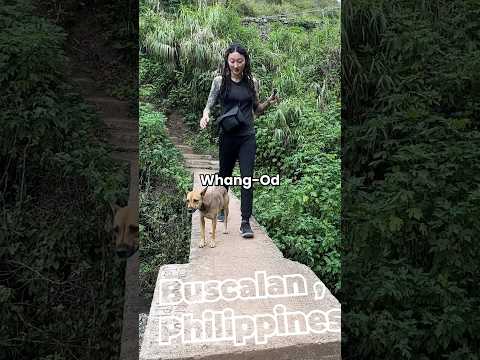 Apo Whang-Od touched me