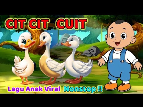 Lagu Anak Viral !! CIT CIT CUIT - Lagu Anak Lucu Populer, Animasi Bebek Nyosor