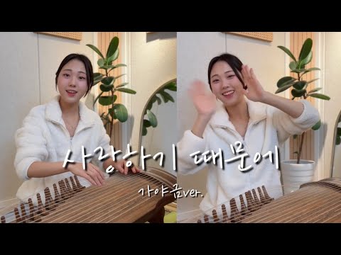 사랑하기 때문에..🤍 가야금풀버전