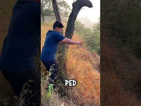 9v Battery in Soil and Water for 30 Days Part - 2 | #mrspark27