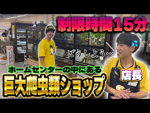 ホームセンターの中に出現した巨大爬虫類ショップを高速で紹介してもらった結果…