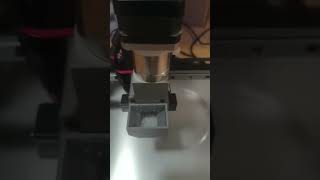 Twin screw pellet extruder for desktop 3D printer